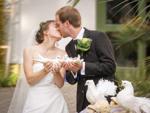 Hochzeitstauben