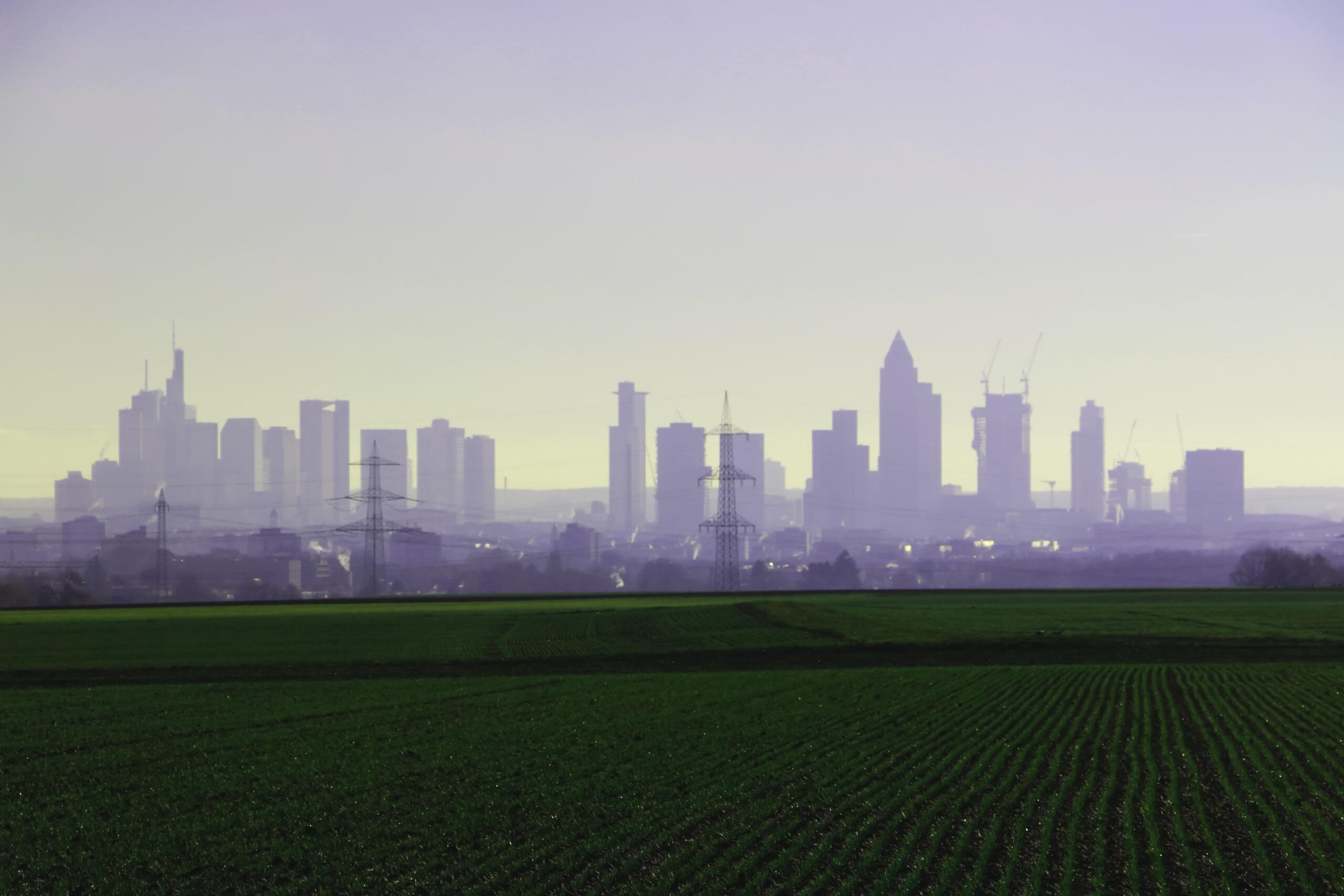 Stadt oder Land?